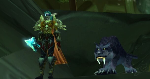 Кайли Дак NPS