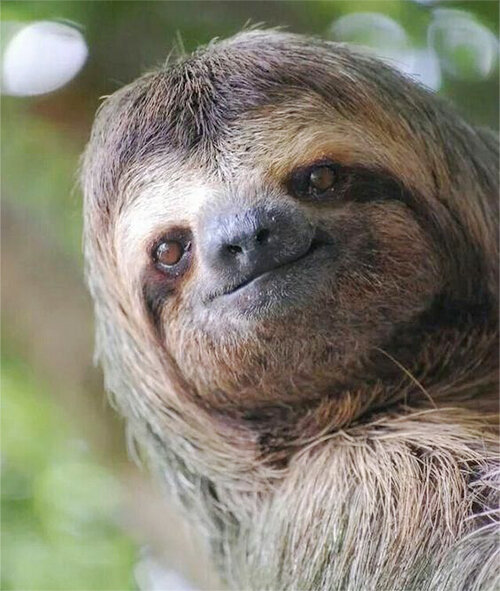 В этой статье мы разберемся, как совместить приятное с полезным.