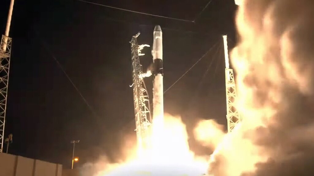 Создание человеческих тканей в космосе. Изображение NASA