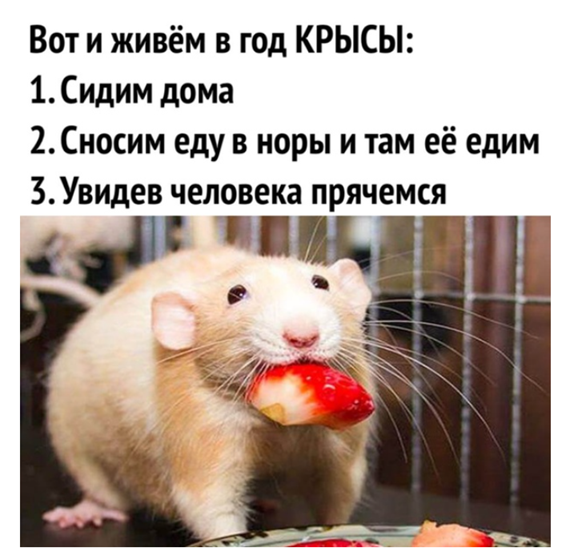 Источник: Яндекс.Картинки