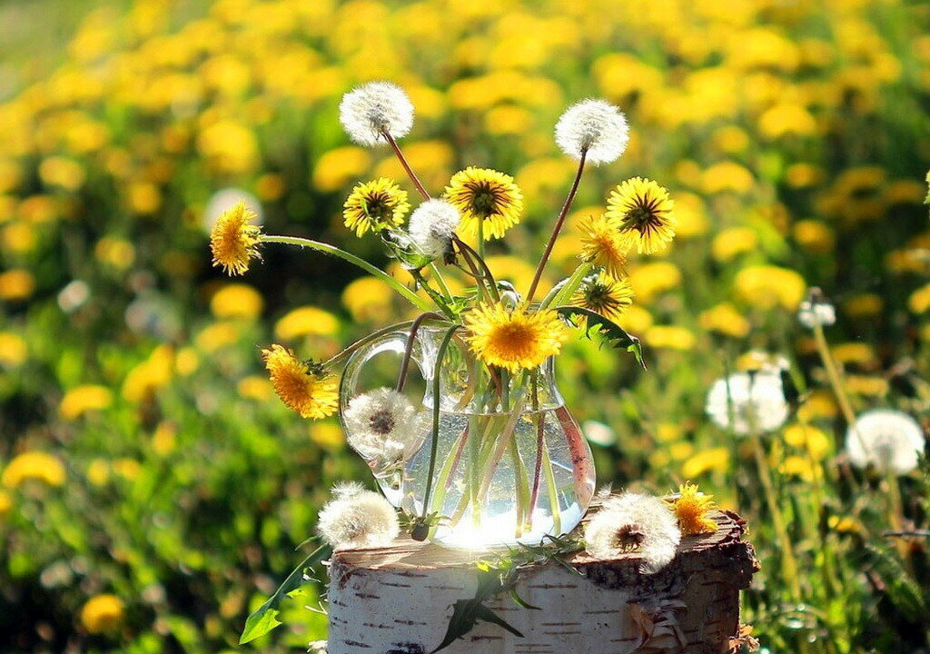 Фото взято из сети интернет.