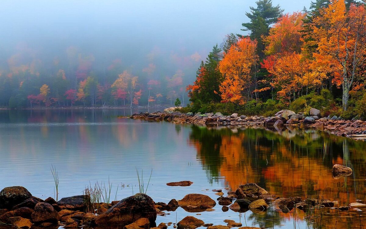 Изображение взято с Яндекс Картинок.