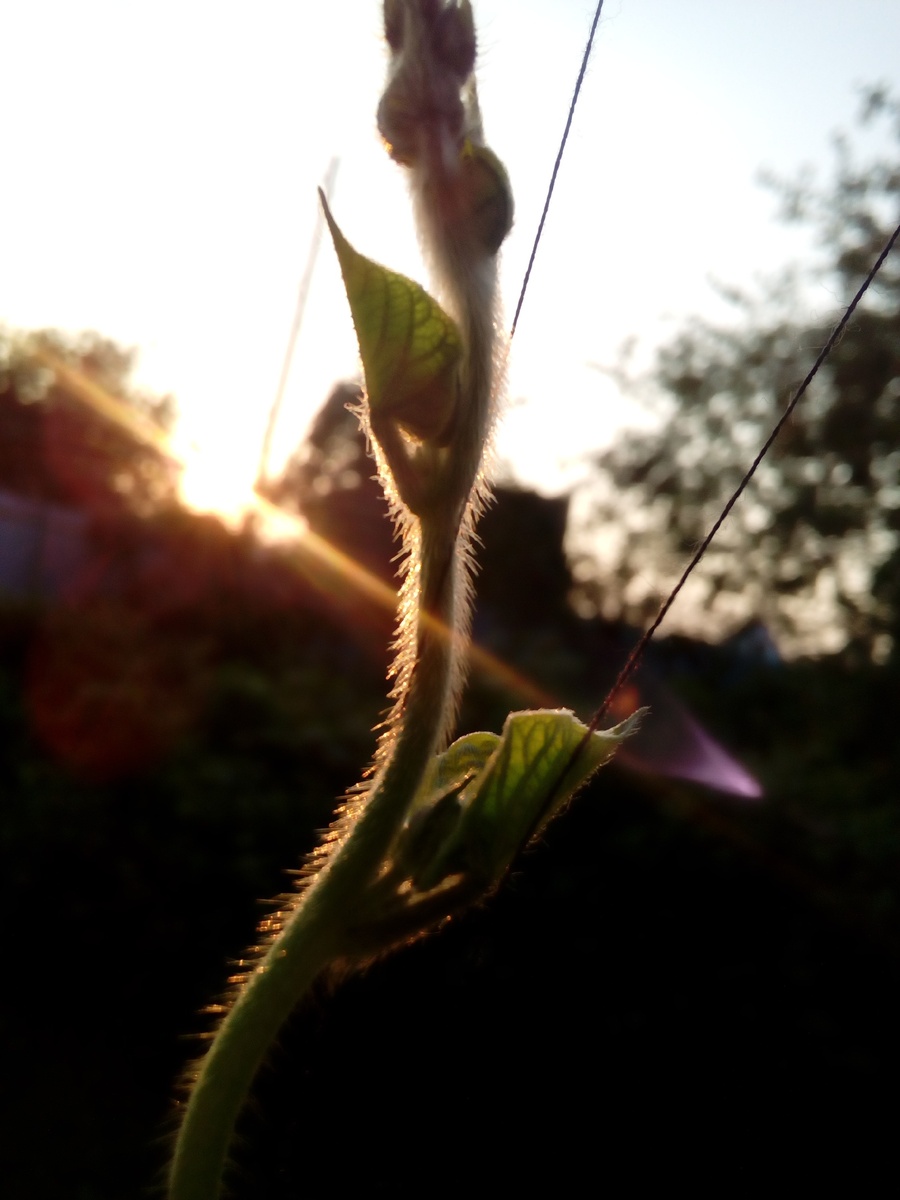 Личный архив.