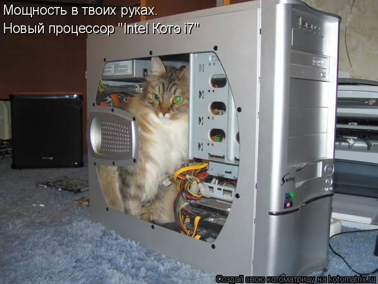 Там в компьютере. Кот в системном блоке. Котята в системнике. Кот в компьютере в системном блоке. Кот сидит в системнике