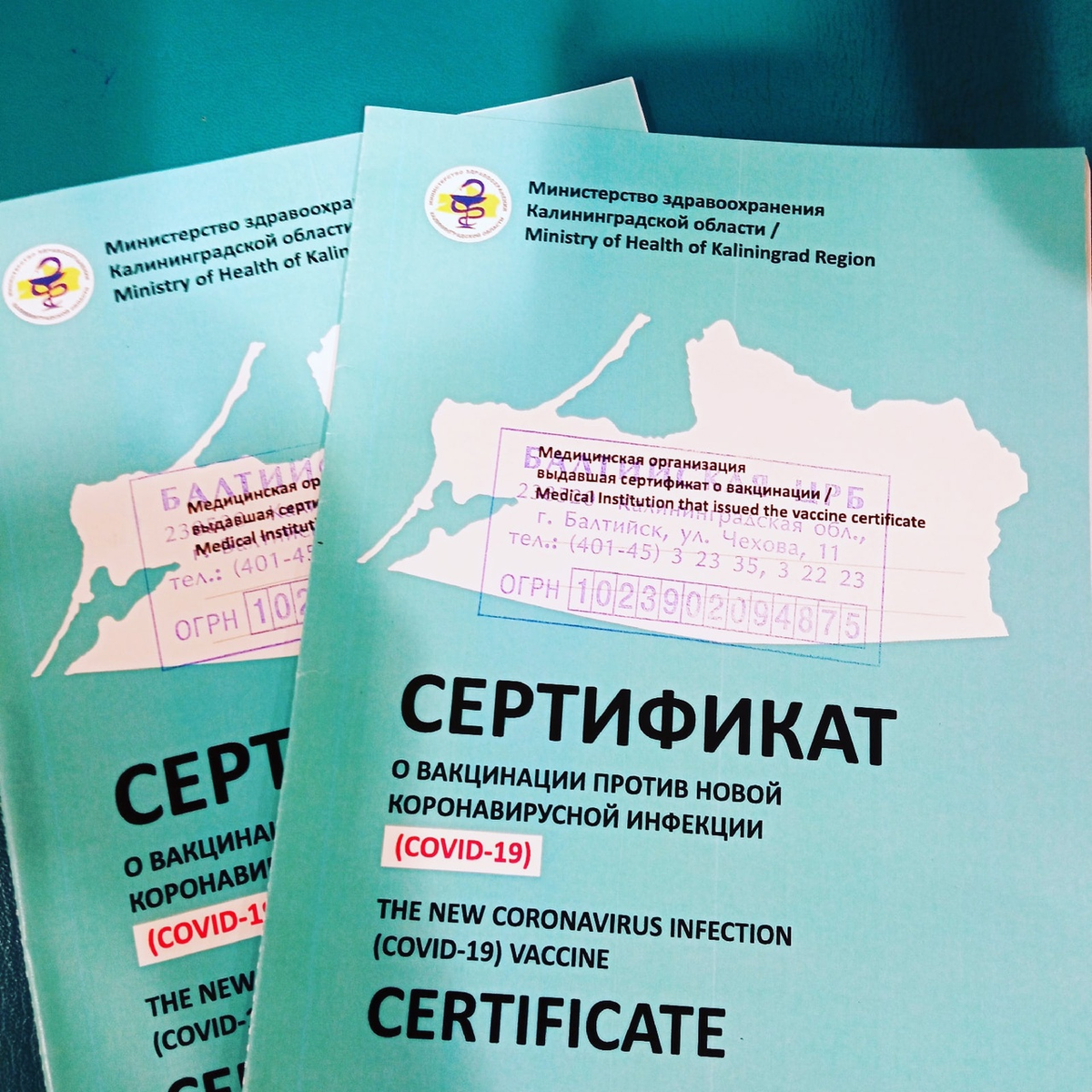 Привиты спутником.