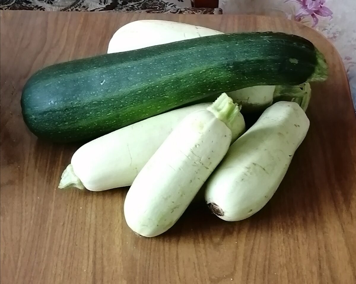 Урожай кабачков радует. 