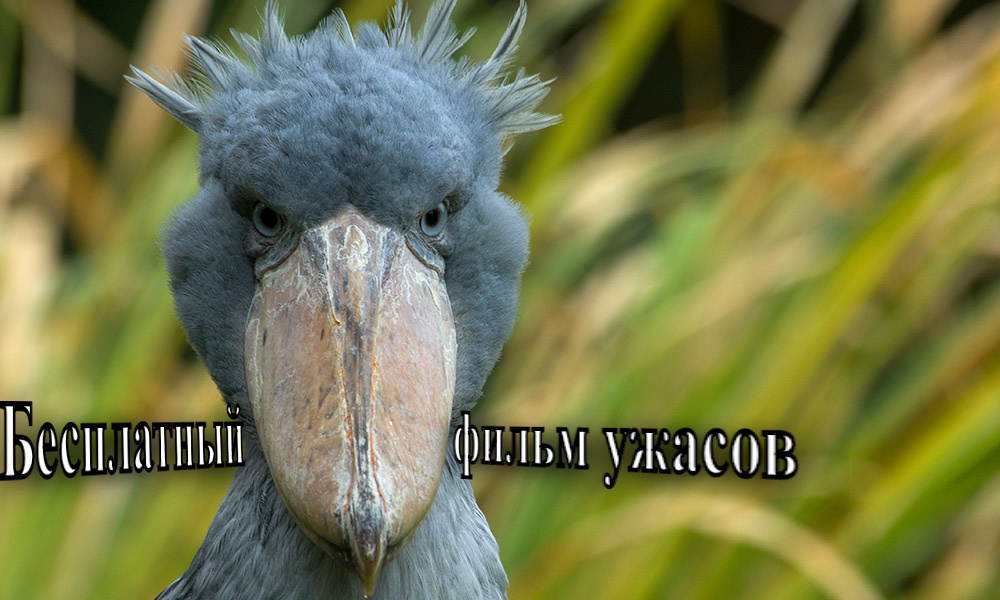 Когда случайно съел сырок младшего брата: