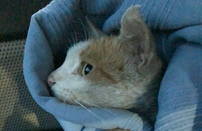 У меня в машине