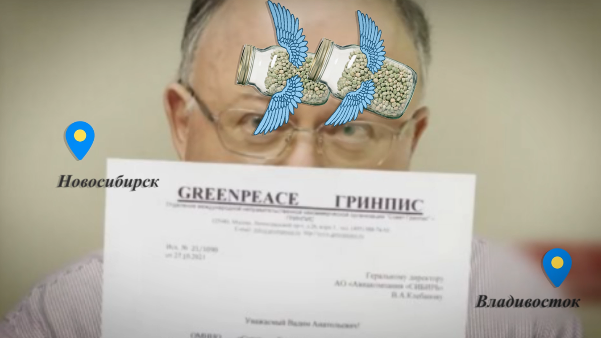 Cкриншот с Ютуб канала 812gorod