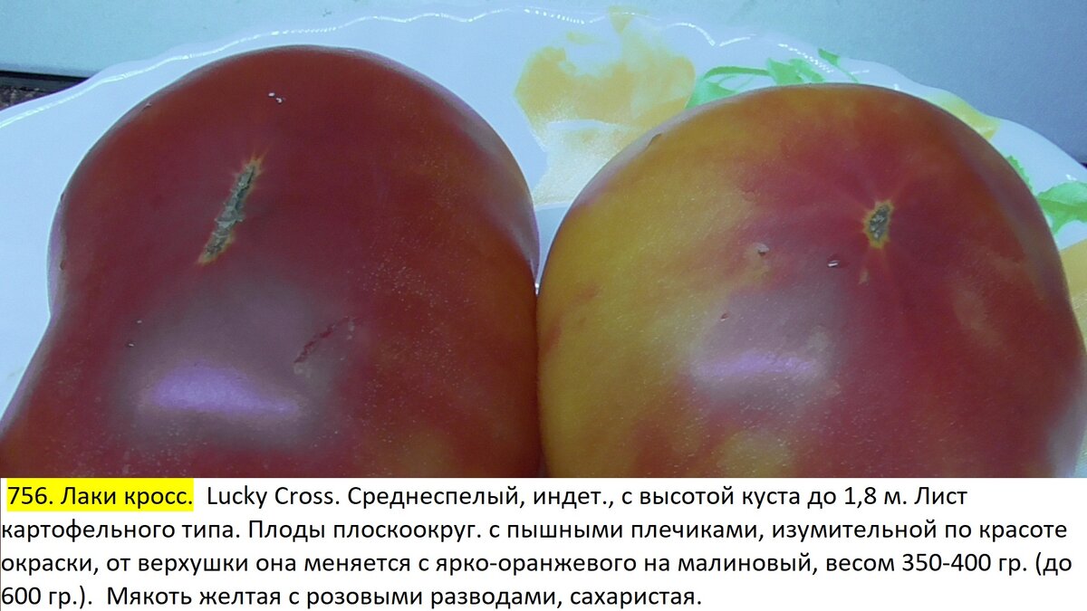 -74