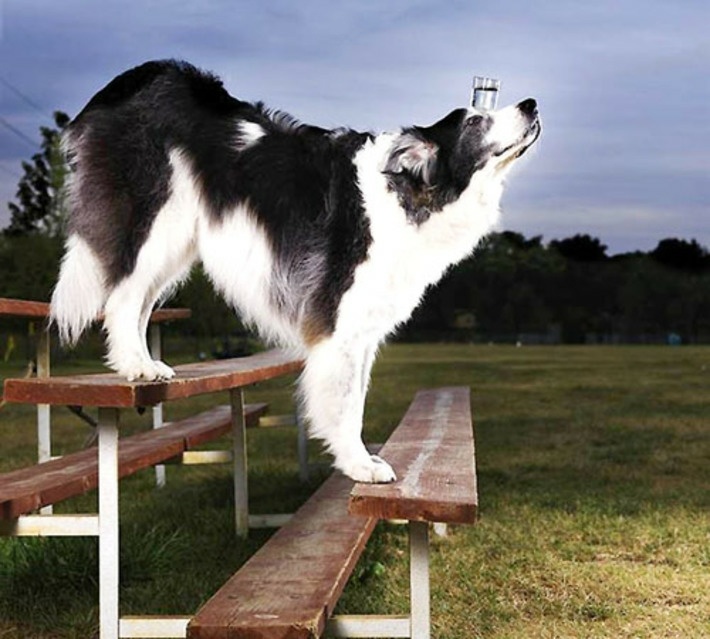 Так даже я бы не смогла 😯