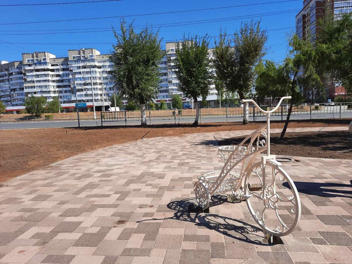 Жуково волгоград. Сурский сквер Волгоград. Парк на Жукова Волгоград. Аллея на проспекте Жукова Волгоград. Проспект Жукова Волгоград.