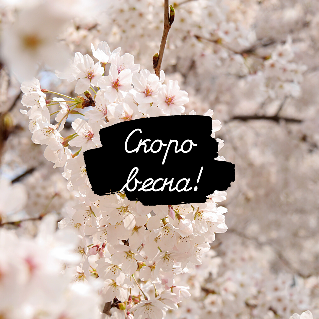 10 СОВЕТОВ АЛЛЕРГИКАМ! 🤧
⠀
Поллиноз - одно из самых распространенных аллергических заболеваний. Им страдают до 15% людей во всём мире. 😔
⠀
Диагноз #поллиноз ставит врач. Нужно обратиться к нему, если есть выделения из носа и из глаз без температуры и признаков интоксикации организма. В группе риска находятся люди, у которых есть аллергики среди родственников (если мама и папа аллергики, у ребёнка вероятность заболеть равна 70—80%) и те, кто уже страдает от других аллергических заболеваний.
⠀
👍🏻Лечение поллиноза назначает врач. Однако современные лекарства не могут полностью нейтрализовать симптомы аллергии. Поэтому важно принимать дополнительные меры:
⠀
👉🏻 В период цветения гуляйте после дождя, когда концентрация пыльцы в воздухе ниже.
👉🏻 Носите солнцезащитные очки, они предотвратят попадание пыльцы в глаза.
👉🏻Не пейте алкоголь во время цветения аллергенных растений, т.к. он повышает чувствительность.
👉🏻 Отложите пробежки до того времени, когда закончится цветение. Занимайтесь спортом только в закрытых помещениях.
👉🏻Принимайте сорбенты (они частично адсорбируют пыльцу, которая попадает в ЖКТ).
👉🏻Избегайте стрессов и физически тяжелой работы, которые создадут дополнительную нагрузку на организм.
👉🏻 Переместите сроки плановых операций и прививок до окончания сезона цветения.
👉🏻Весной, в период цветения деревьев, соблюдайте специальную ДИЕТУ, которая исключает: мёд, яблоки, груши, киви, орехи, морковь, зелень, специи, вина, картофель, помидоры, огурцы, лук.
👉🏻 После прихода с улицы сразу переоденьтесь, примите душ, умойте лицо и глаза, промойте нос соляным раствором.
👉🏻 Пройдите оздоровительный курс в соляной пещере. Это поможет существенно уменьшить аллергические проявления. 👌🏻