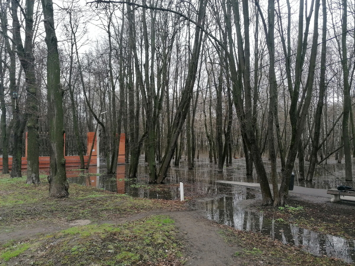 На входе, перед воротами