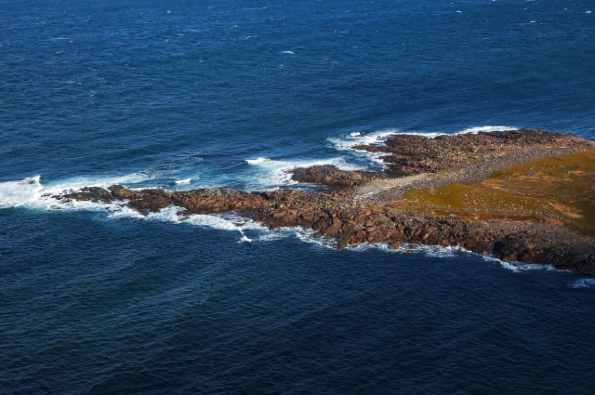    В Кандалакшском заливе в перевернутой лодке нашли тела двух мужчин