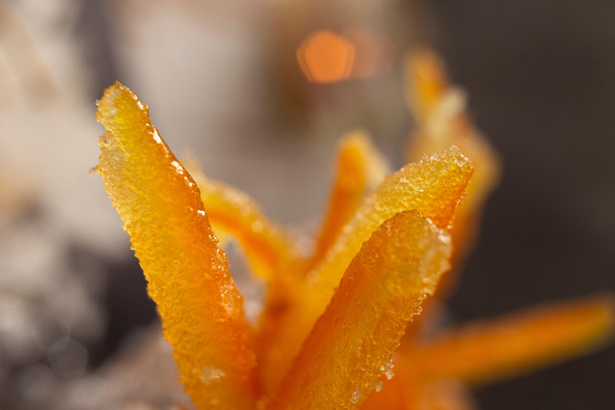 Источник фото: Yana Gorbunova / Unsplash 