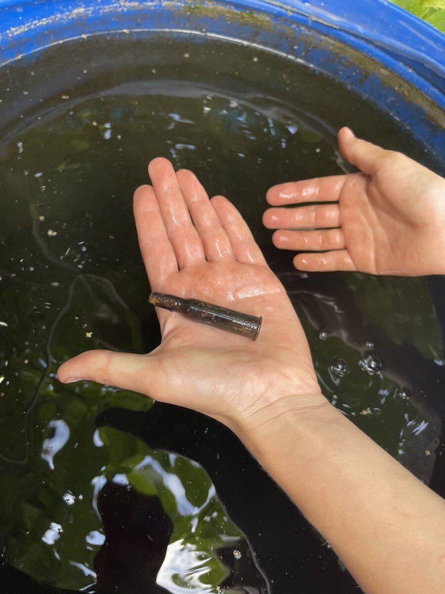 Гильза от патрона