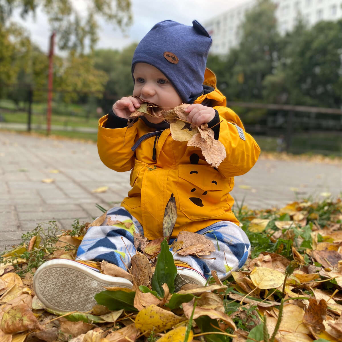 Совсем недавно я очень грустила по поводу «я это есть не буду».