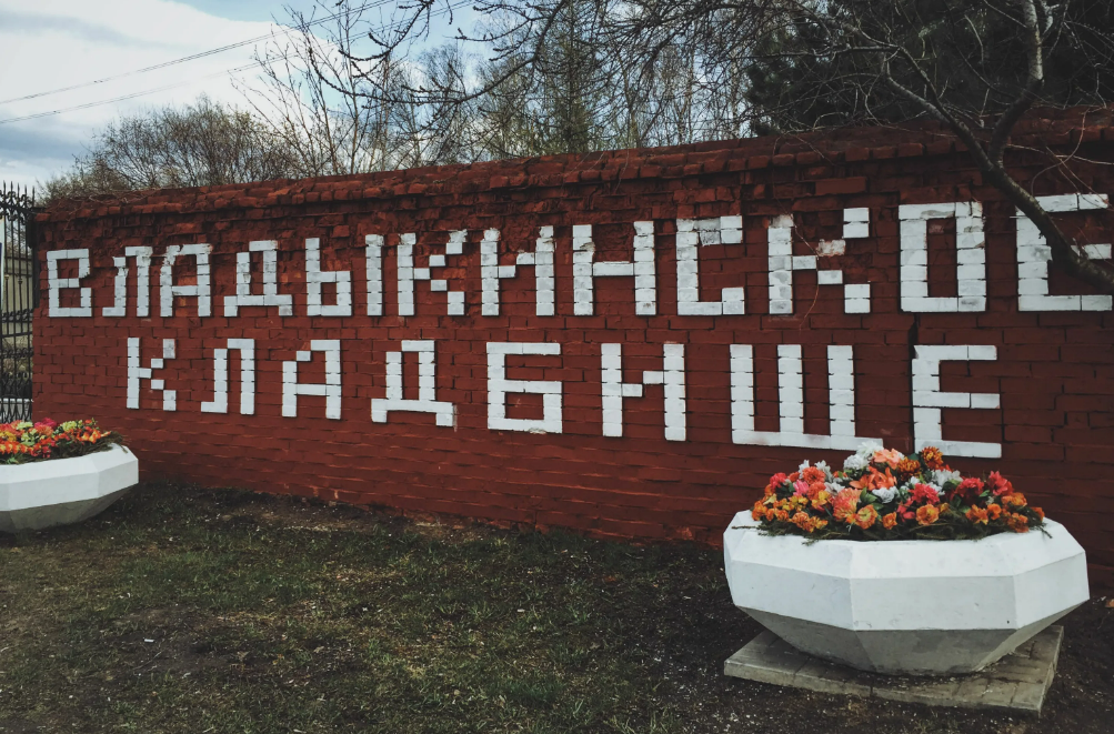 Фотография взята из источника yandex.ru