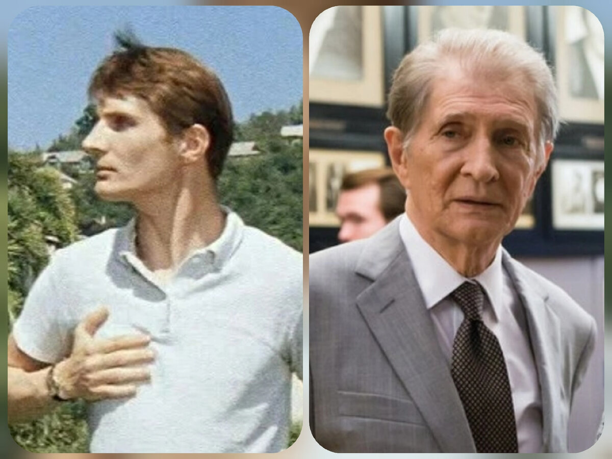 Кадры из фильмов "Бриллиантовая рука" и "Дипломат"