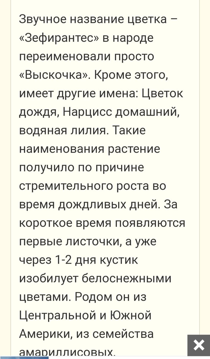 Информация из интернета