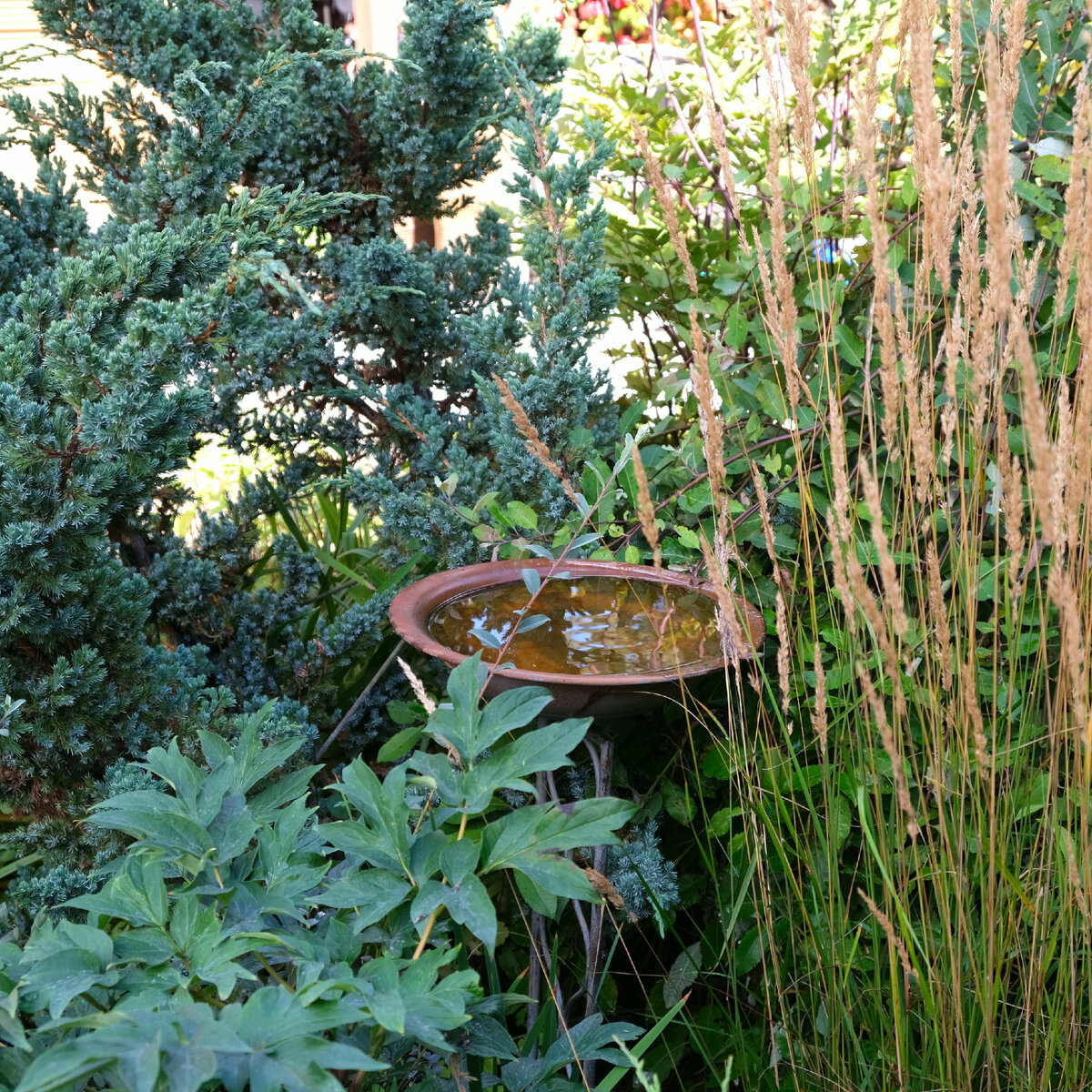 Купалка номер 1