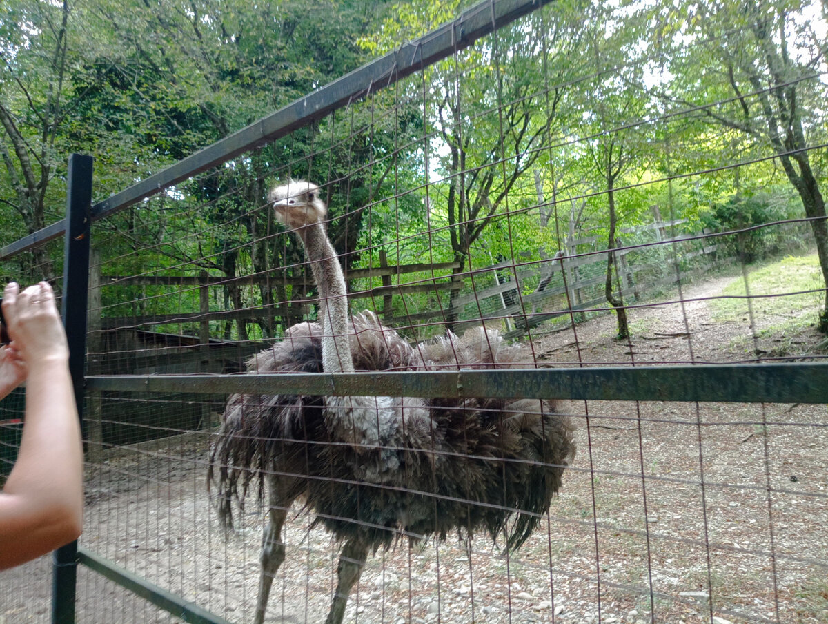 Как позирует! Ну чем не олигарх