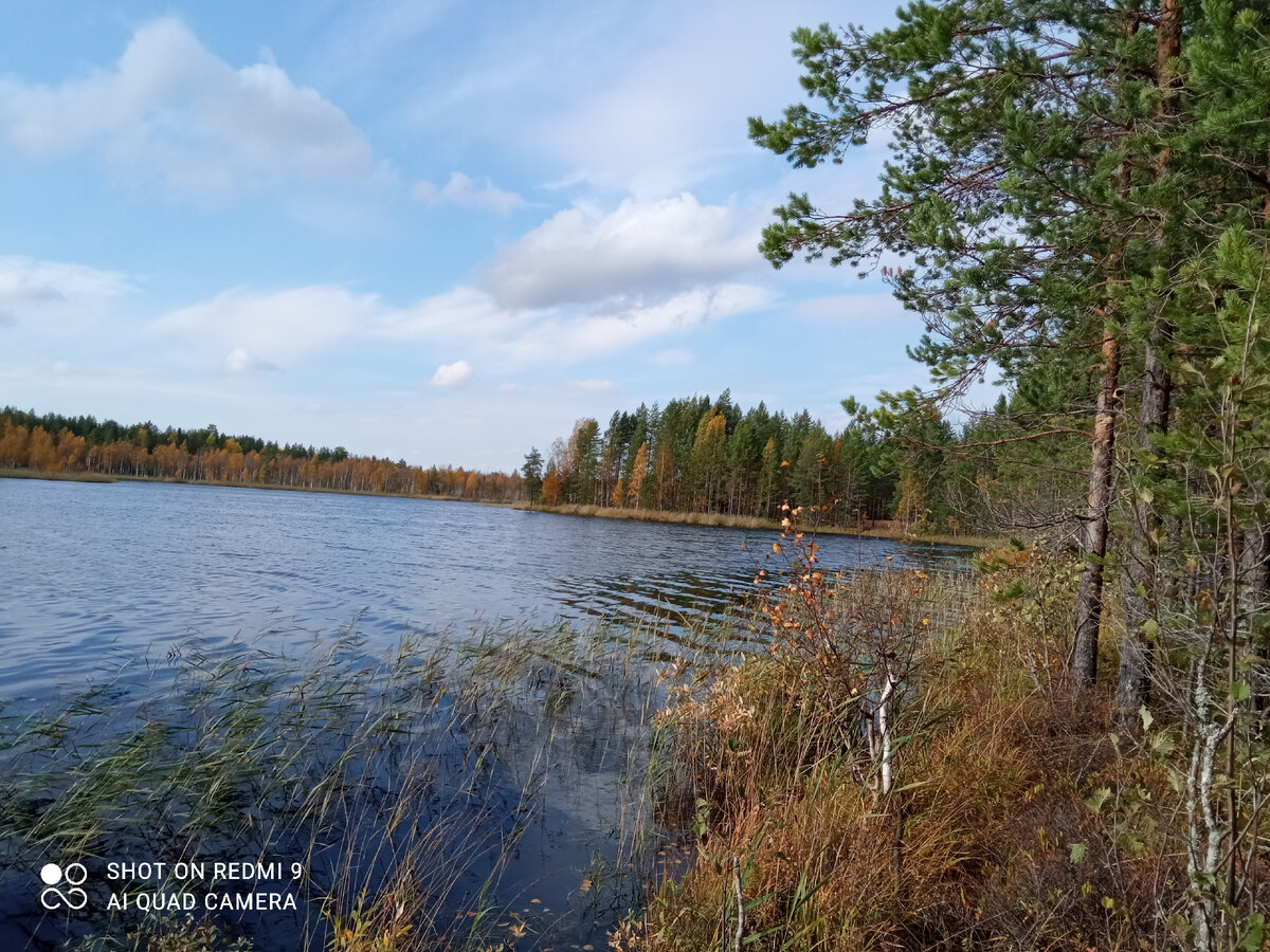 фото автора: карельское озеро, называется ламбушка