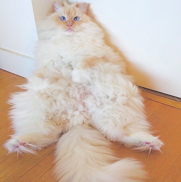 -2