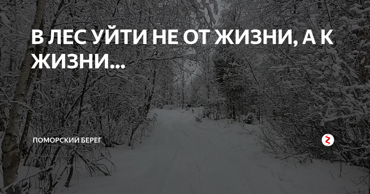 Я ушел лес. Ушел в лес. Хочется уйти в лес. Я ухожу в лес. Забыться и уйти в лес.