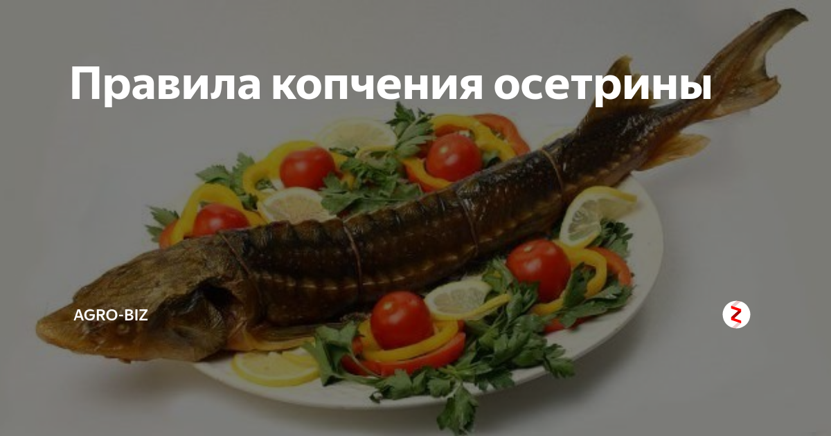 Салат 