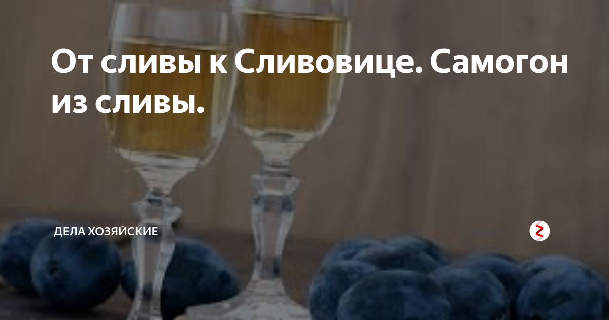 От сливы к Сливовице. Самогон из сливы. | Дела хозяйские | Дзен