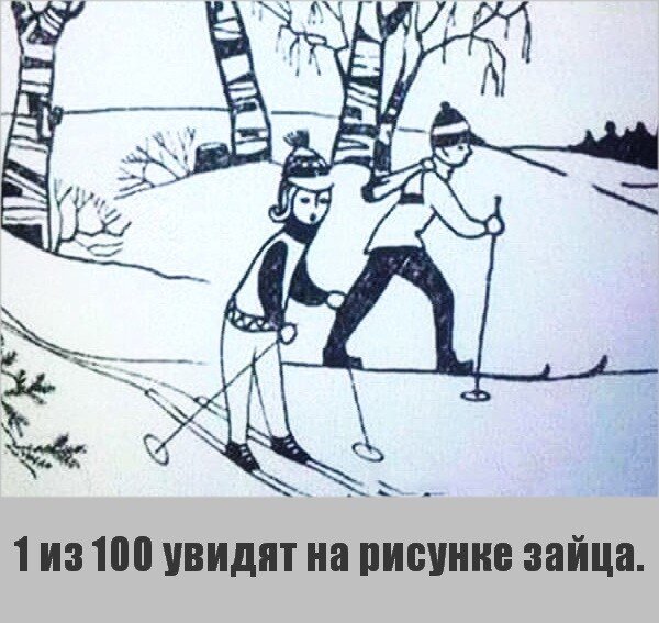 Найди зайца на картинке