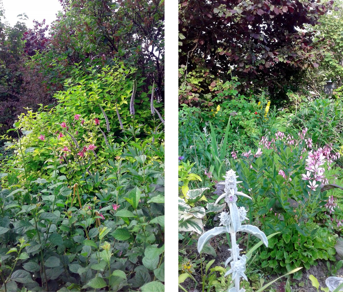 Сад Натургарден