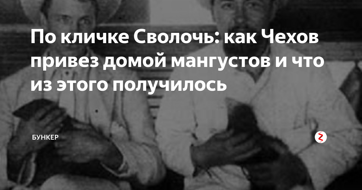 негр из фильма брат 2. черный как сволочь. негр из фильма брат 2. брат сухоруков в шляпе. дарья юргенс брат 2 у костра.