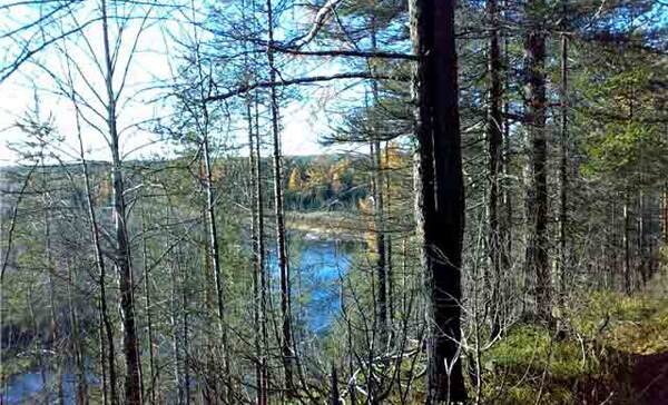 окрестности реки Вашка