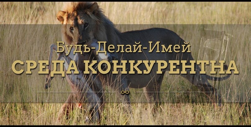 Это суровый мир и животные инстинкты не знают пощады.