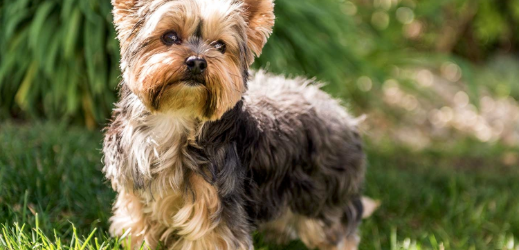 Лайк и подписка милахе! 😌 😍