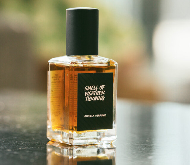 Фото : lushrussia.ru