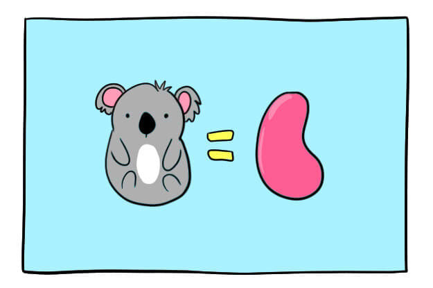 После рождения коала пробивается в мешочек к матери и остается там несколько месяцев. В это время у нее развивается шерсть, глаза и ушки.