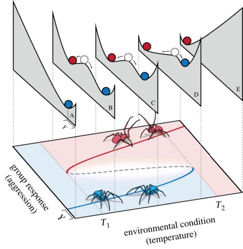 Источник «Social tipping points in animal societies»