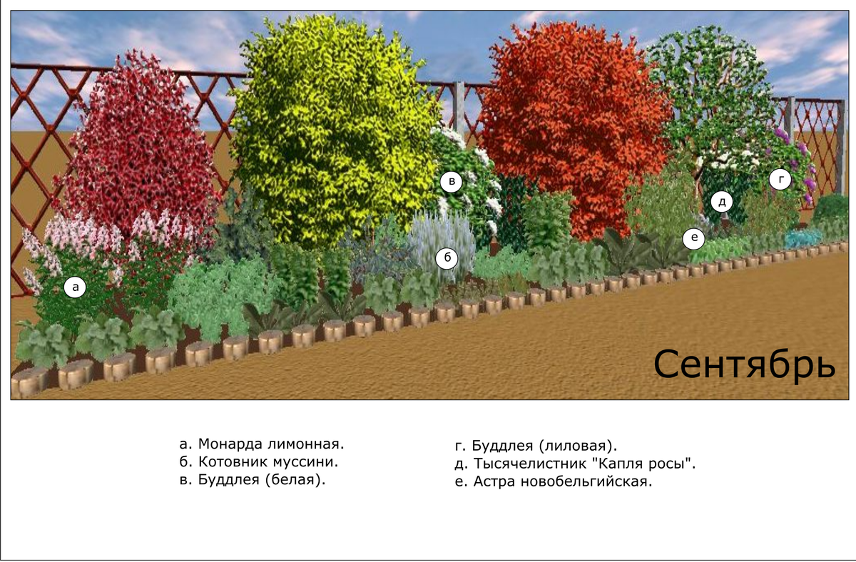 Живая изгородь из разных кустарников схемы