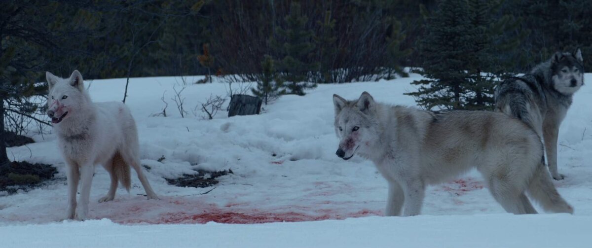 Кадр из кинофильма "Придержи тьму" режиссера Джереми Солнье