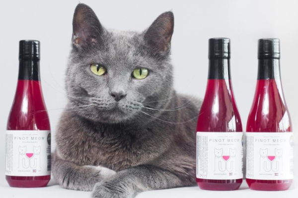 Оставляйте свое мнение в комментариях, делитесь статьей с друзьями. Спасибо.