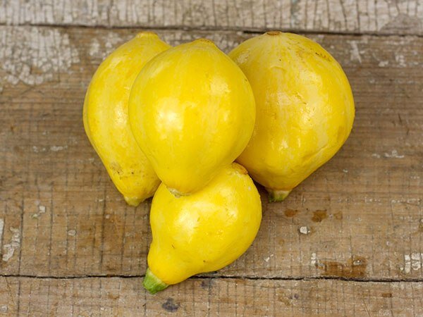 На первый взгляд сложно отличить кабачок от лимона