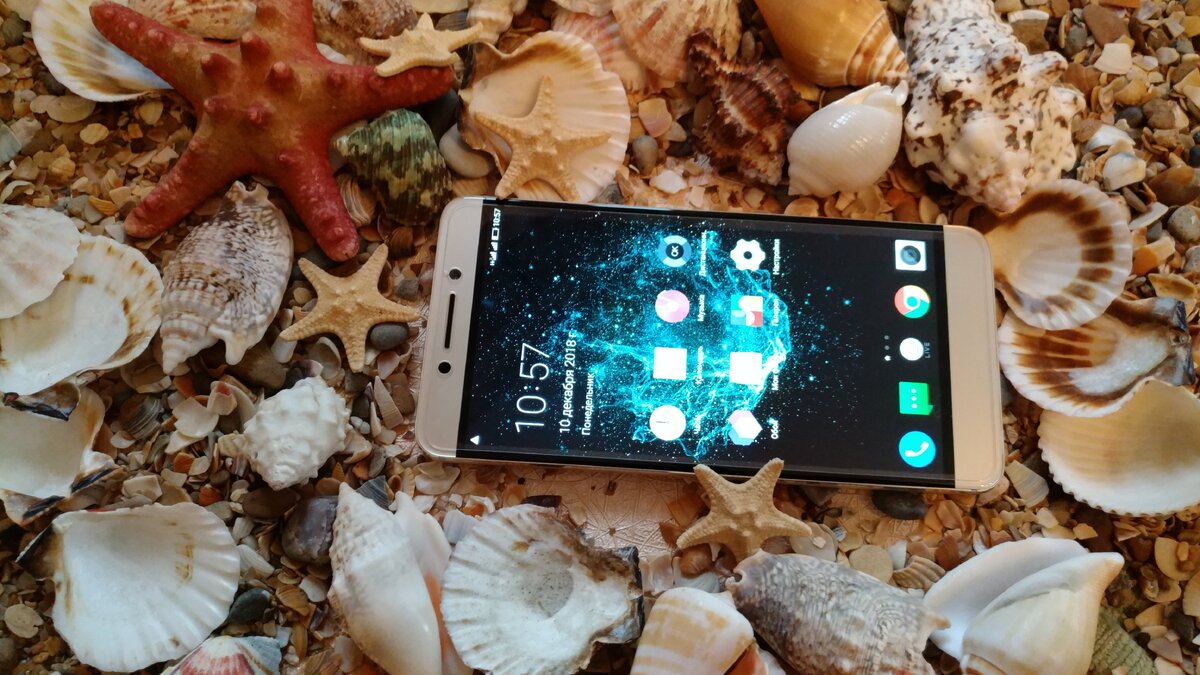 фото автора