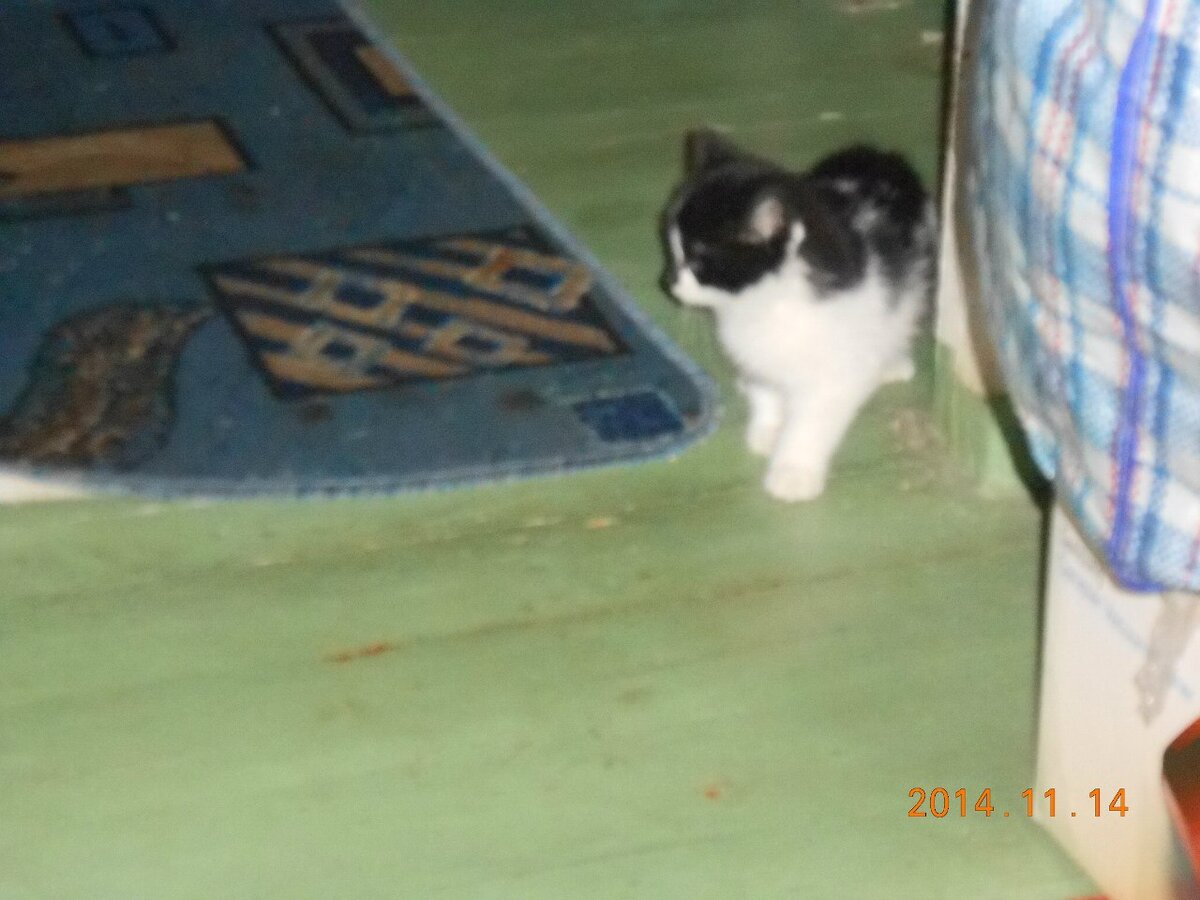 Розейке чуть больше месяца)))