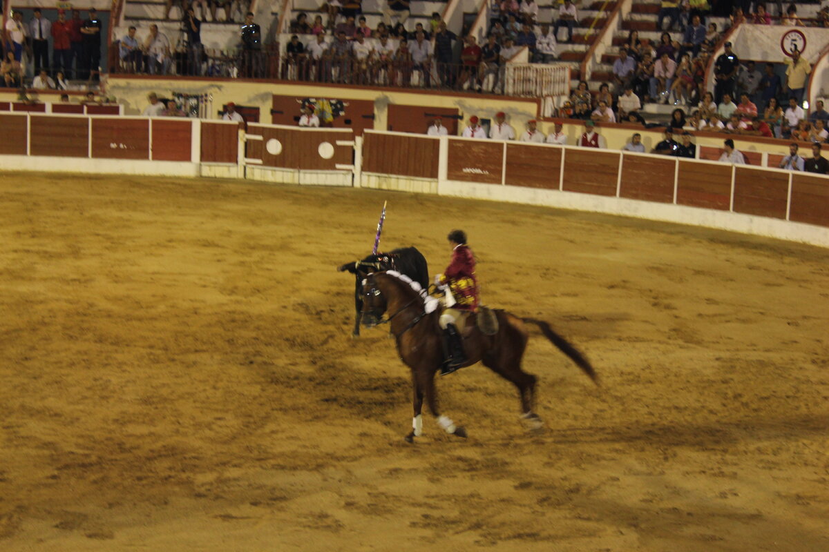 Торейру на лошади