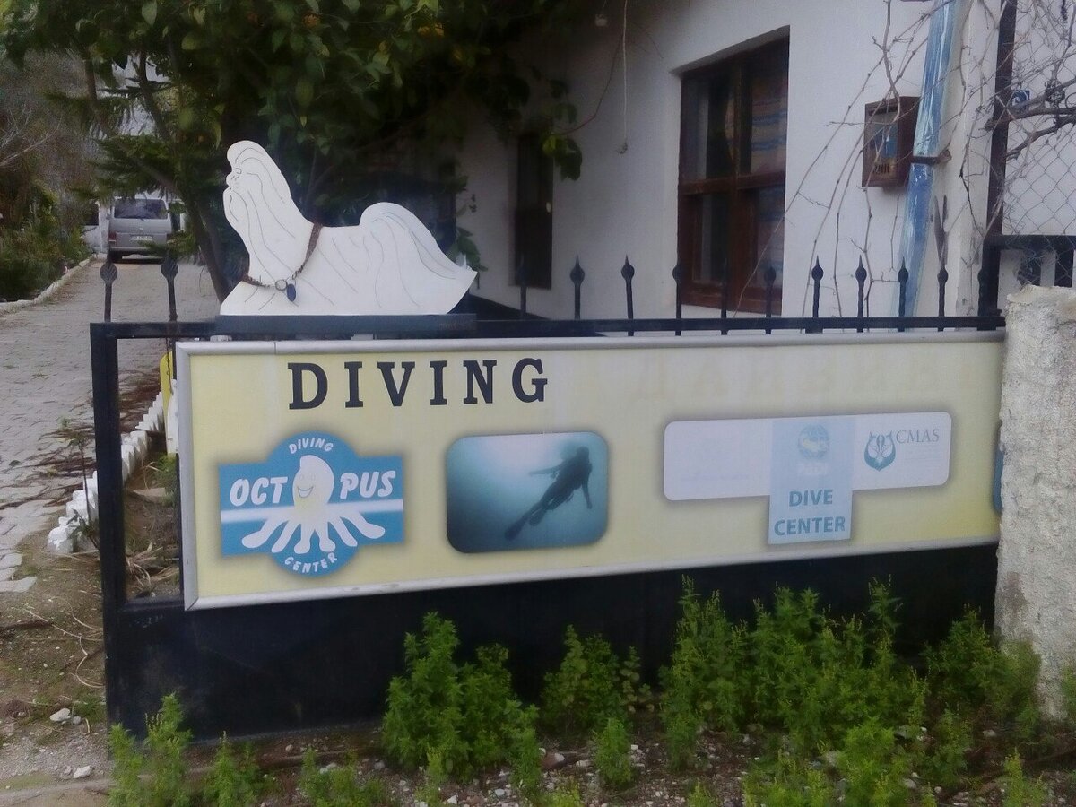 Клубная поездка: Турция, Кемер, февраль 2018