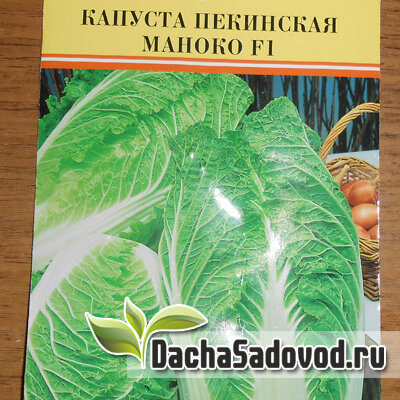 Два года вся пекинка уходила в стрелку, и что-то мне это порядком поднадоело, поэтому в прошлом году отловила на рынке слегка знакомого барыгу, торгующего семенами.